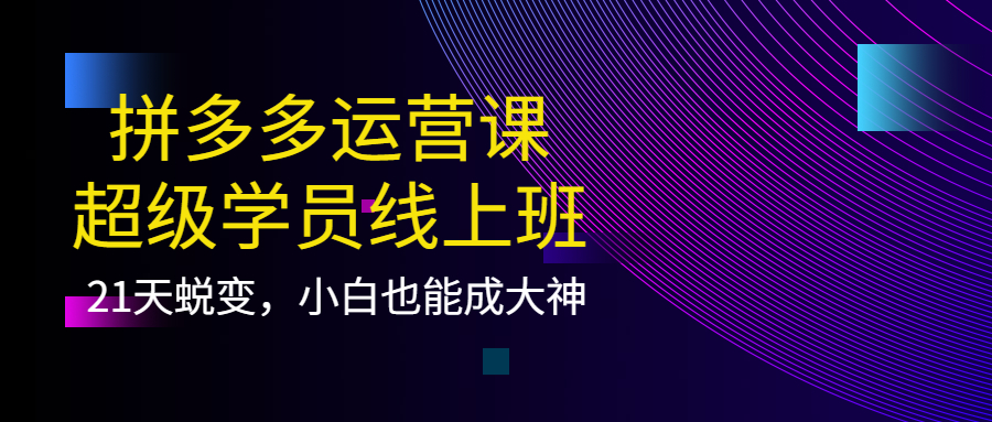 拼多多运营课：超级学员线上班，21天蜕变，小白也能成大神-扬明网创