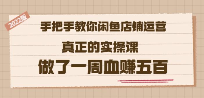 2022版《手把手教你闲鱼店铺运营》真正的实操课做了一周血赚五百(16节课)-扬明网创