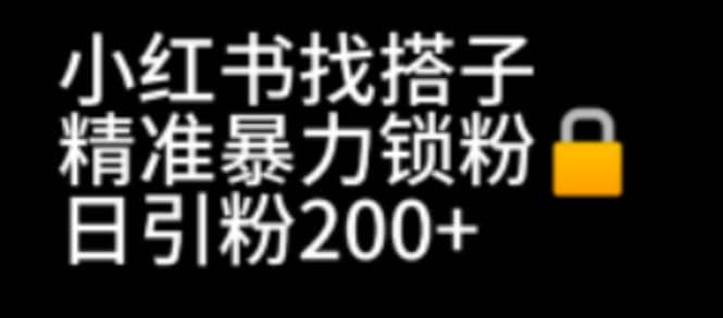 小红书找搭子暴力精准锁粉+引流日引200+精准粉-扬明网创