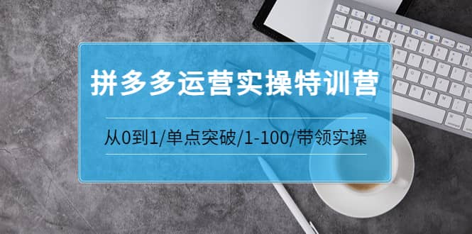 拼多多运营实操特训营：从0到1/单点突破/1-100/带领实操 价值2980元-扬明网创