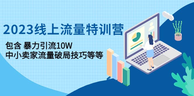 2023线上流量特训营：中小卖家流量破局技巧等等-扬明网创