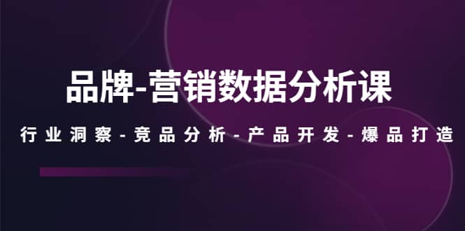 品牌-营销数据分析课，行业洞察-竞品分析-产品开发-爆品打造-扬明网创