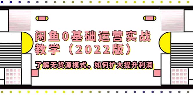 闲鱼0基础运营实战教学（2022版）了解无货源模式，如何扩大提升利润-扬明网创