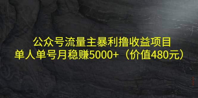 公众号流量主暴利撸收益项目，单人单号月稳赚5000+（价值480元）-扬明网创