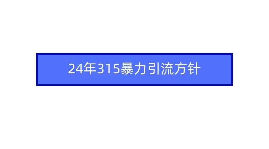 2024年315暴力引流方针-扬明网创