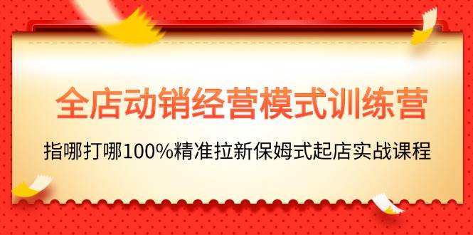 全店动销-经营模式训练营，指哪打哪100%精准拉新保姆式起店实战课程-扬明网创