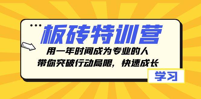 板砖特训营，用一年时间成为专业的人，带你突破行动局限，快速成长-扬明网创