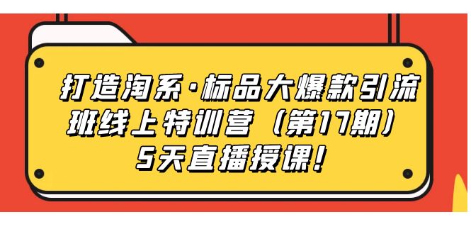 打造淘系·标品大爆款引流班线上特训营5天直播授课！-扬明网创