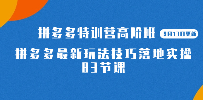 2023拼多多·特训营高阶班【9月13日更新】拼多多最新玩法技巧落地实操-83节-扬明网创