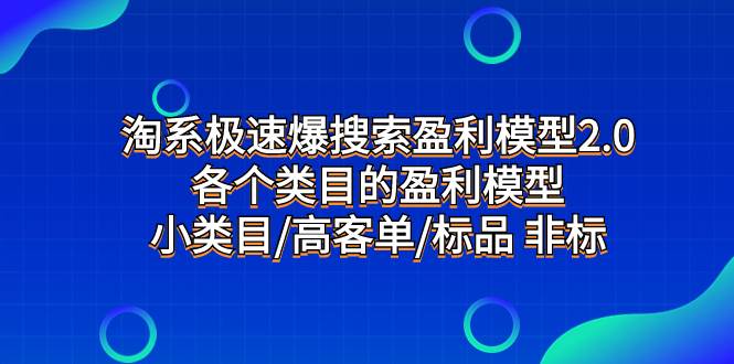 淘系极速爆搜索盈利模型2.0，各个类目的盈利模型，小类目/高客单/标品 非标-扬明网创