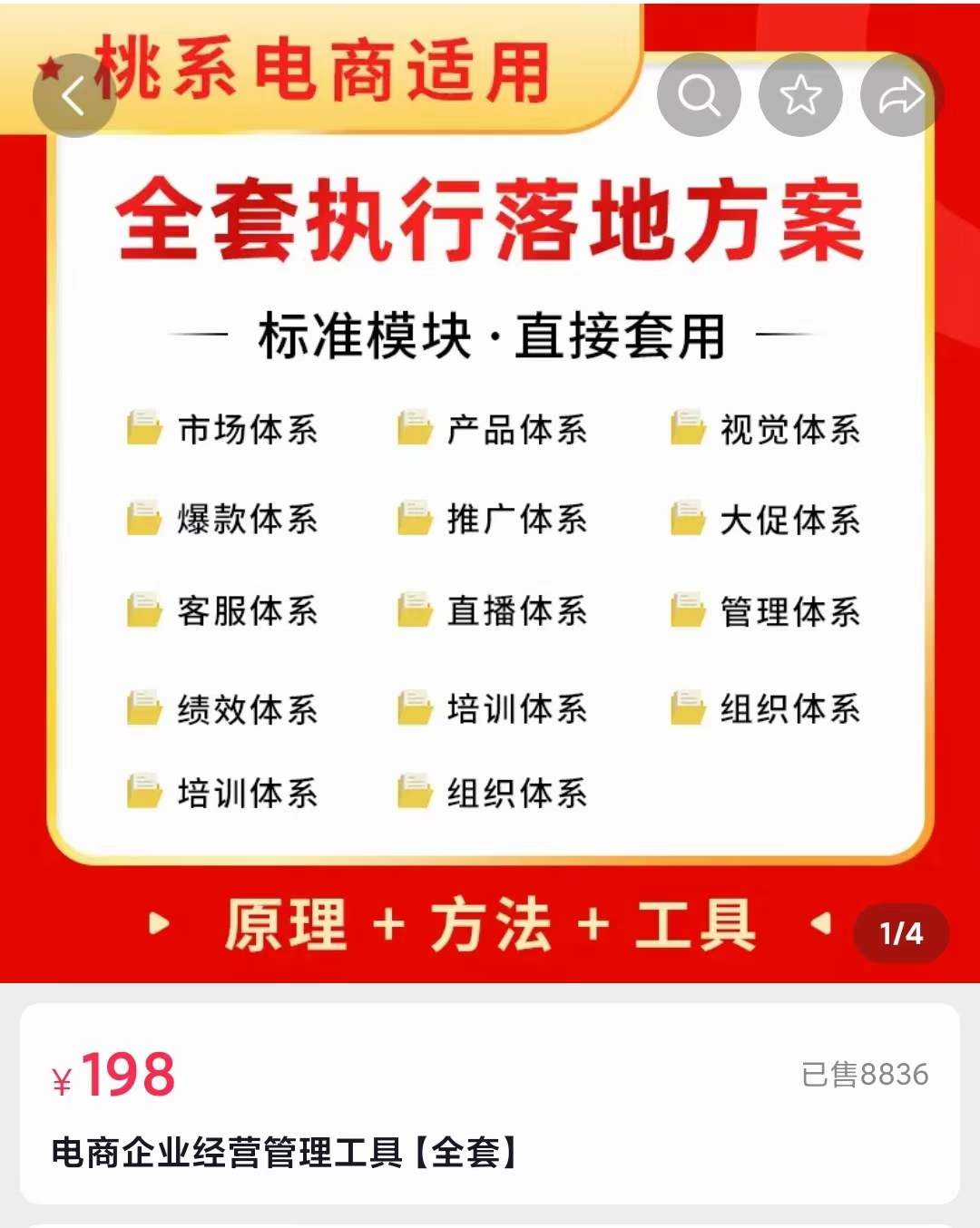 外面卖198·电商企业经营管理工具：全套执行落地方案 标准模块·直接套用-扬明网创