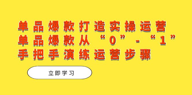 单品爆款打造实操运营，单品爆款从“0”-“1”手把手演练运营步骤-扬明网创