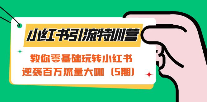 小红书引流特训营-第5期：教你零基础玩转小红书，逆袭百万流量大咖-扬明网创