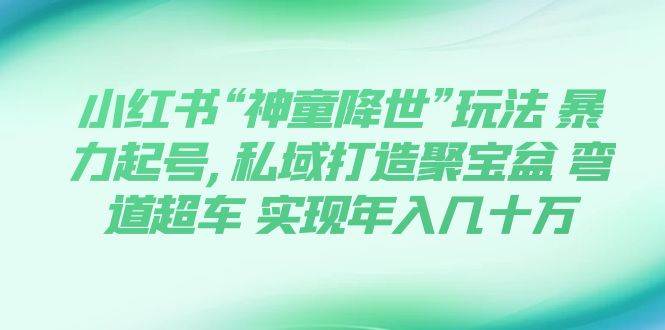 小红书“神童降世”玩法 暴力起号,私域打造聚宝盆 弯道超车 实现年入几十万-扬明网创