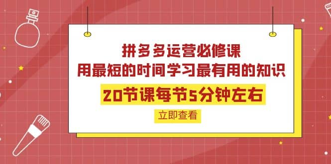 拼多多运营必修课：20节课每节5分钟左右，用最短的时间学习最有用的知识-扬明网创