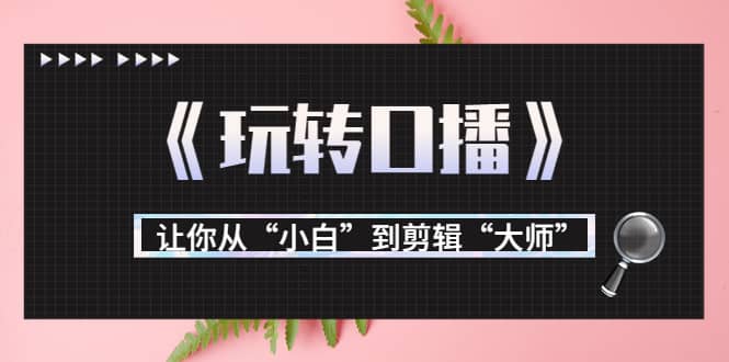 月营业额700万+大佬教您《玩转口播》让你从“小白”到剪辑“大师”-扬明网创