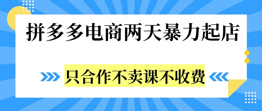 拼多多两天暴力起店，只合作不卖课不收费-扬明网创