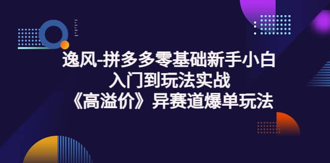 拼多多零基础新手小白入门到玩法实战《高溢价》异赛道爆单玩法实操课-扬明网创