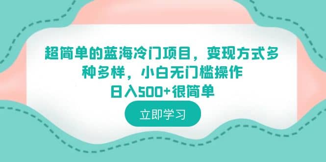 超简单的蓝海冷门项目，变现方式多种多样，小白无门槛操作日入500+很简单-扬明网创