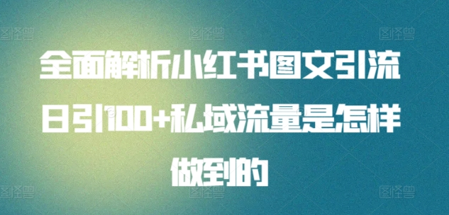 全面解析小红书图文引流日引100私域流量是怎样做到的-扬明网创