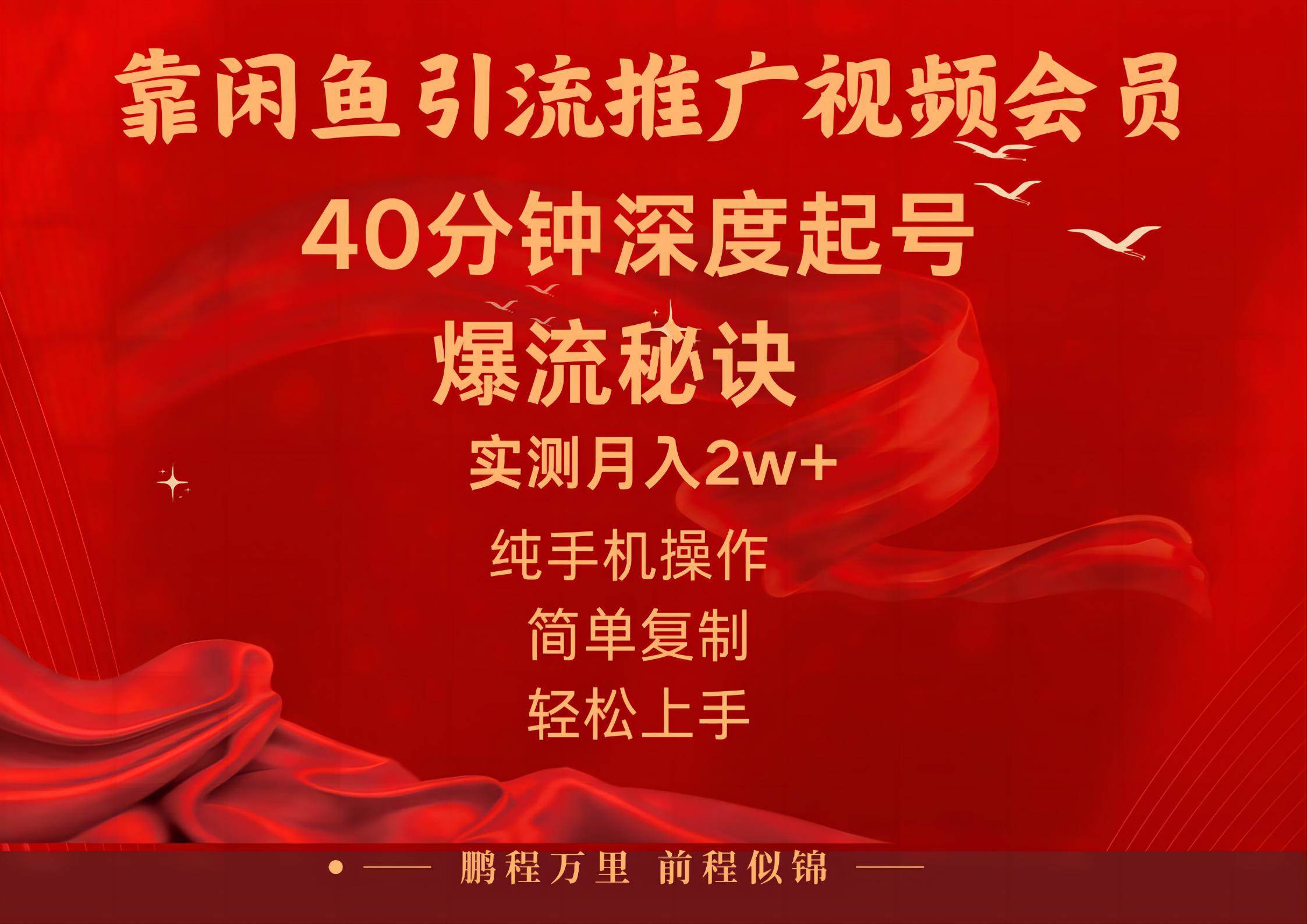 闲鱼暴力引流推广视频会员，能做到日入2W+，操作简单-扬明网创