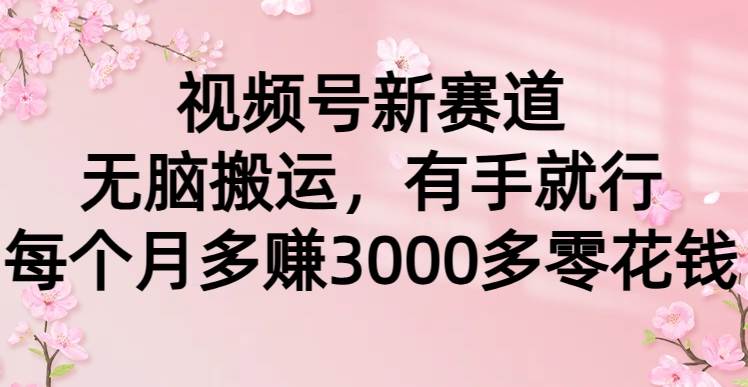 视频号新赛道，无脑搬运，有手就行，每个月多赚3000多零花钱-扬明网创