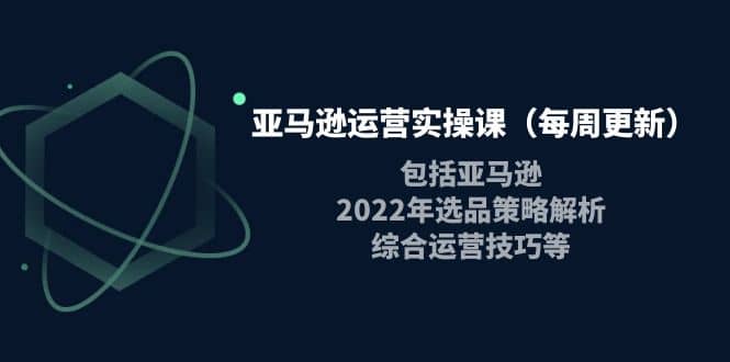 亚马逊运营实操课（每周更新）包括亚马逊2022选品策略解析，综合运营技巧等-扬明网创