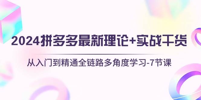 2024拼多多 最新理论+实战干货，从入门到精通全链路多角度学习-7节课-扬明网创