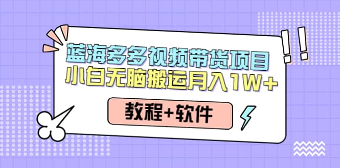 人人都能操作的蓝海多多视频带货项目 小白无脑搬运（教程+软件）-扬明网创