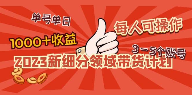 2023新细分领域带货计划：单号单日1000+收益不难，每人可操作3-5个账号-扬明网创