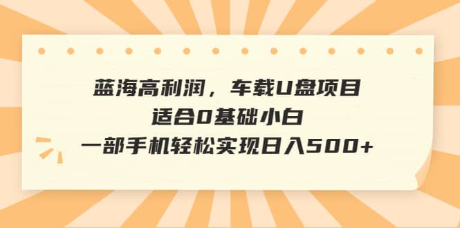 蓝海高利润，车载U盘项目，适合0基础小白，一部手机轻松实现日入500+-扬明网创