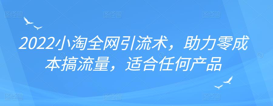 2022年小淘全网引流术，助力零成本搞流量，适合任何产品-扬明网创