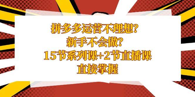 拼多多运营不理想？新手不会做？15节系列课+2节直播课，直接掌握-扬明网创