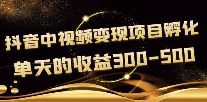 黄岛主《抖音中视频变现项目孵化》单天的收益300-500 操作简单粗暴-扬明网创