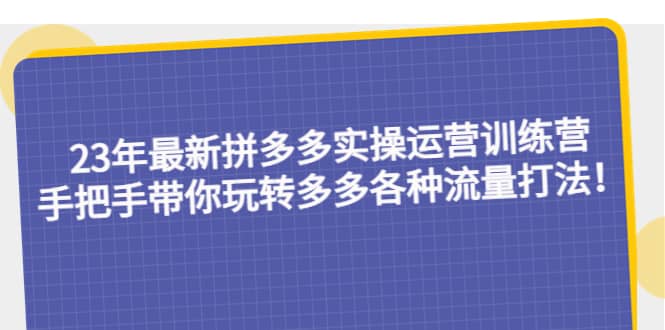 23年最新拼多多实操运营训练营：手把手带你玩转多多各种流量打法！-扬明网创