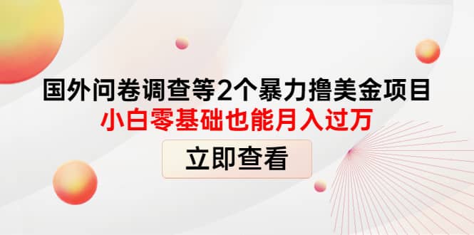 国外问卷调查等2个暴力撸美元项目，小白零基础也能月入过万-扬明网创