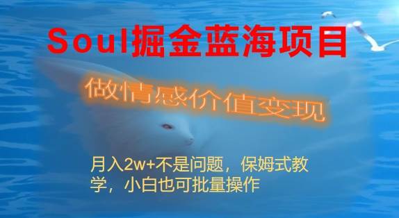 Soul掘金蓝海项目细分赛道，做情感价值变现，月入2w+不是问题-扬明网创