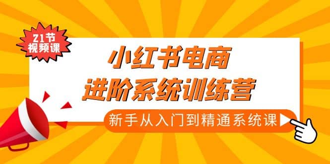 小红书电商进阶系统训练营：新手从入门到精通系统课（21节视频课）-扬明网创