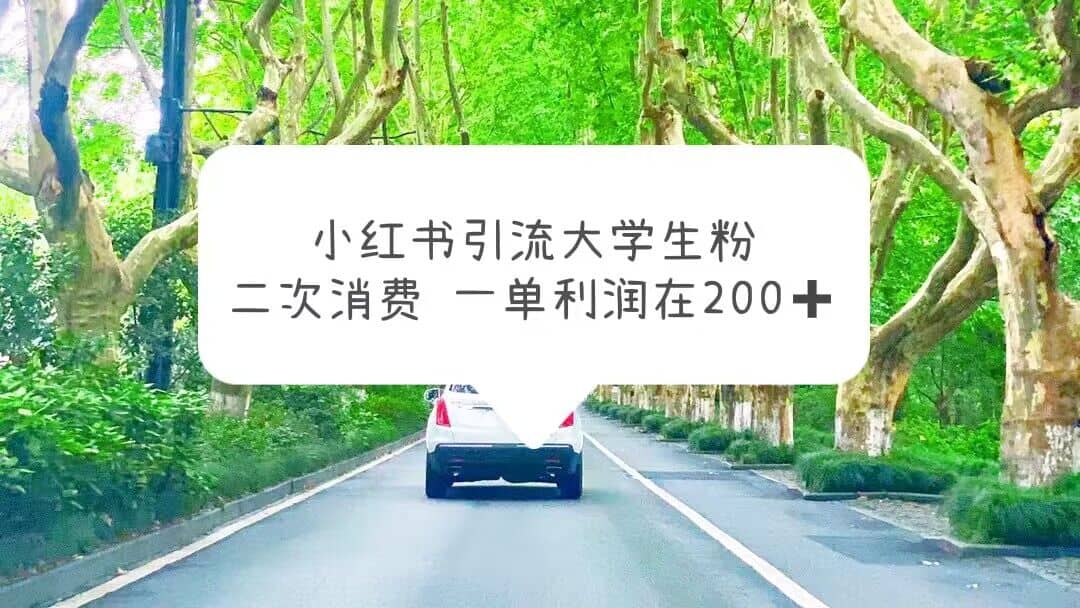 小红书引流大学生粉，变现项目，一单利润在200+（教程+资源）-扬明网创