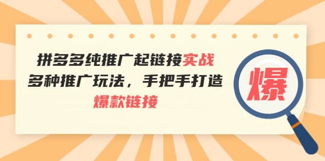 拼多多纯推广起链接实战：多种推广玩法，手把手打造爆款链接-扬明网创