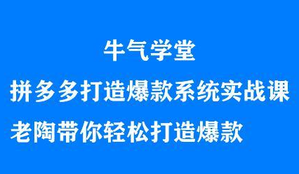 牛气学堂拼多多打造爆款系统实战课，老陶带你轻松打造爆款-扬明网创