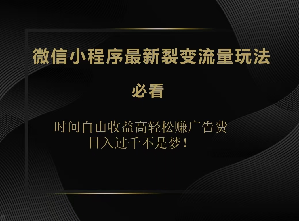 微信小程序最新裂变流量玩法，时间自由收益高轻松赚广告费，日入200-500+-扬明网创