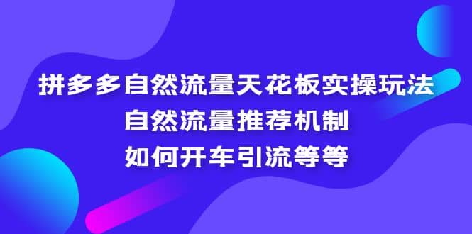 拼多多自然流量天花板实操玩法：自然流量推荐机制，如何开车引流等等-扬明网创