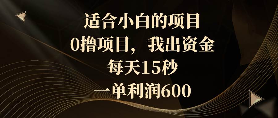 适合小白的项目，0撸项目，我出资金，每天15秒，一单利润600-扬明网创