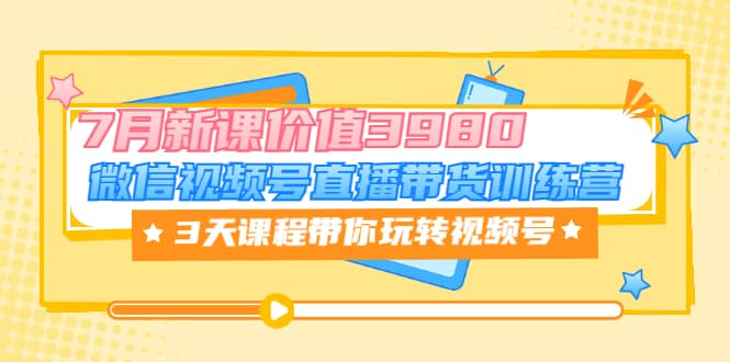 微信视频号直播带货训练营，3天课程带你玩转视频号：7月新课价值3980-扬明网创