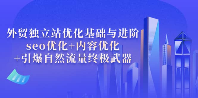 外贸独立站优化基础与进阶，seo优化+内容优化+引爆自然流量终极武器-扬明网创