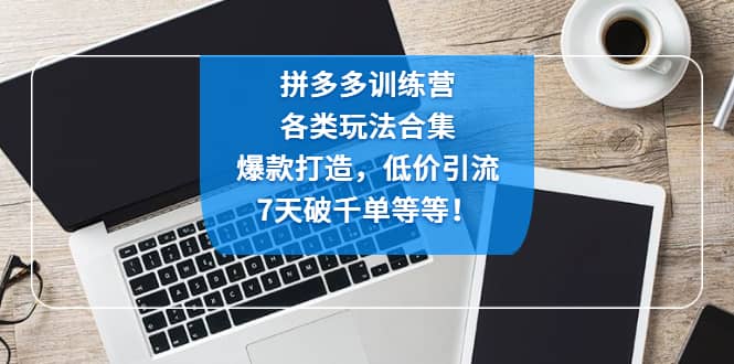 拼多多训练营：各玩法合集，爆款打造，低价引流，7天破千单等等-扬明网创