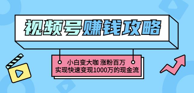 玩转微信视频号赚钱：小白变大咖涨粉百万实现快速变现1000万的现金流-扬明网创