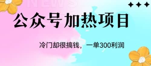 冷门公众号加热项目，一单利润300+-扬明网创