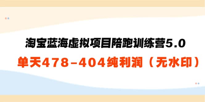 淘宝蓝海虚拟项目陪跑训练营5.0：单天478纯利润（无水印）-扬明网创